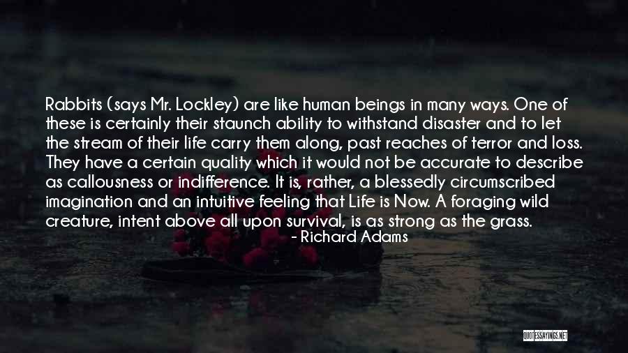 Quality Of Life Quotes By Richard Adams Quality Of Life Quotes By Richard Adams
