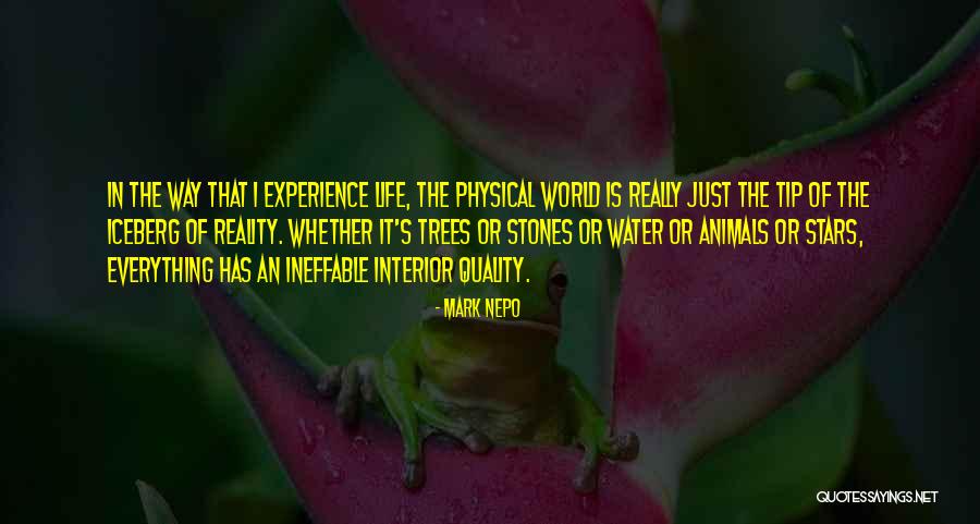 Quality Of The World Quotes By Mark Nepo Quality Of The World Quotes By Mark Nepo