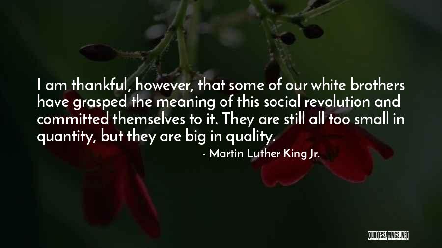 Quality Over Quantity Quotes By Martin Luther King Jr.