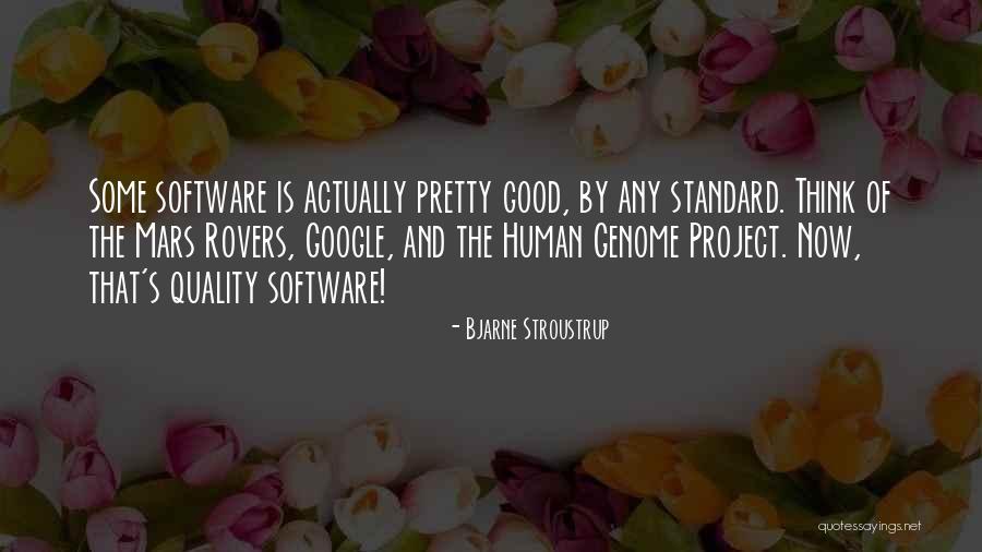 Quality Software Quotes By Bjarne Stroustrup