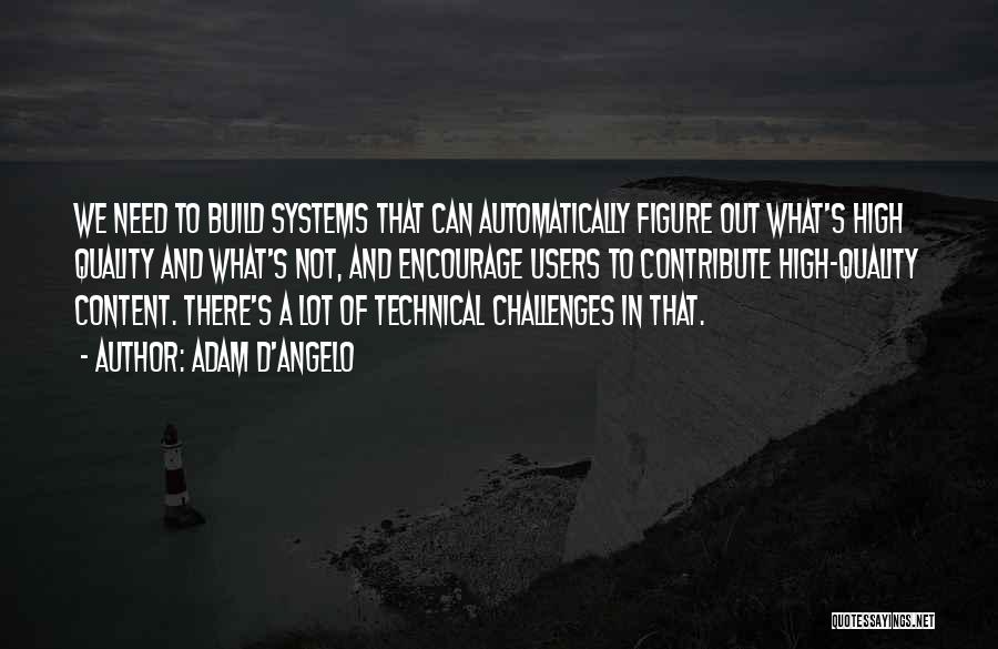 Quality Systems Quotes By Adam D'Angelo