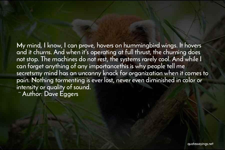 Quality Systems Quotes By Dave Eggers