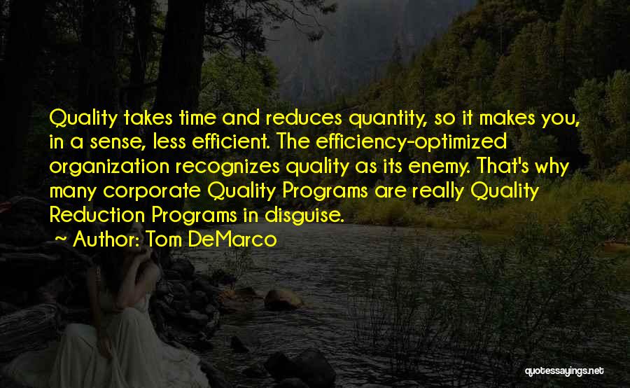 Quality Takes Time Quotes By Tom DeMarco