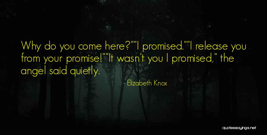 Quality Thermodynamics Quotes By Elizabeth Knox Quality Thermodynamics Quotes By Elizabeth Knox