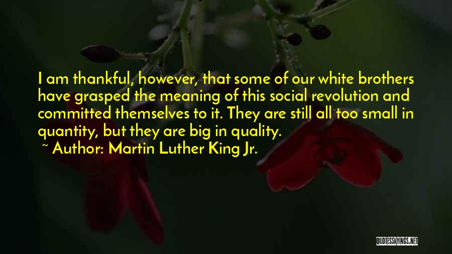 Quality Versus Quantity Quotes By Martin Luther King Jr.