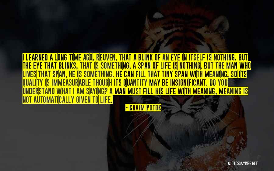 Quality Vs Quantity Of Life Quotes By Chaim Potok Quality Vs Quantity Of Life Quotes By Chaim Potok