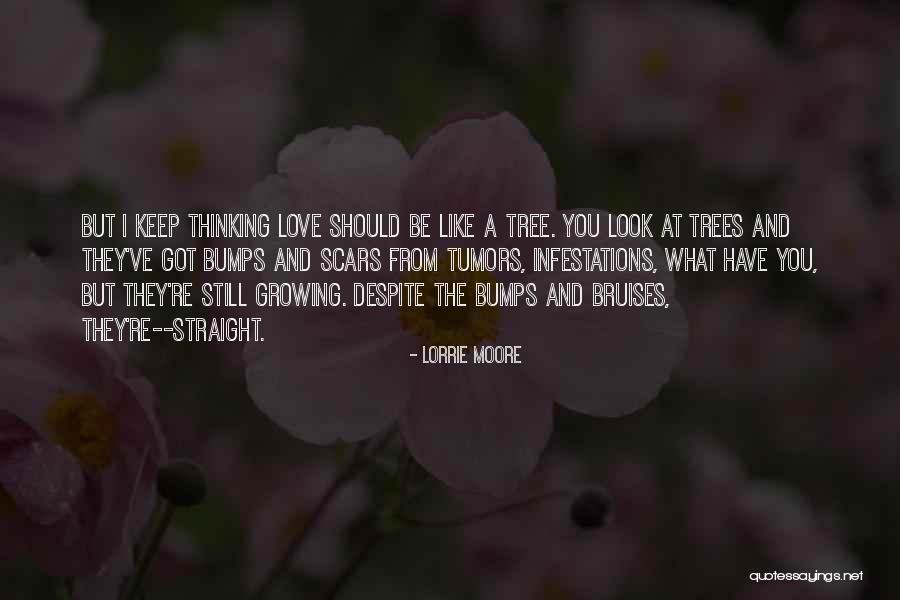 Quantidades De Ingredientes Quotes By Lorrie Moore Quantidades De Ingredientes Quotes By Lorrie Moore