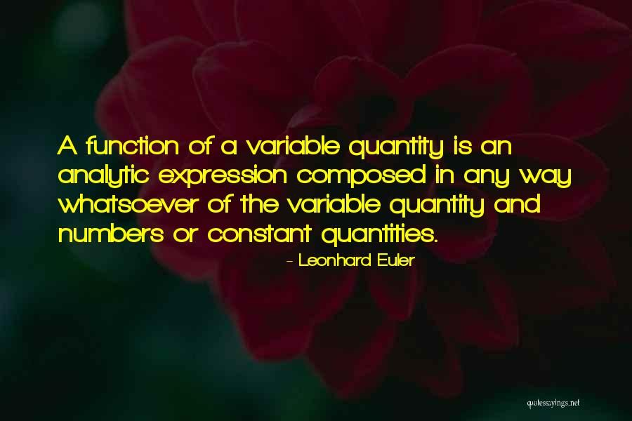 Quantities Quantity Quotes By Leonhard Euler Quantities Quantity Quotes By Leonhard Euler