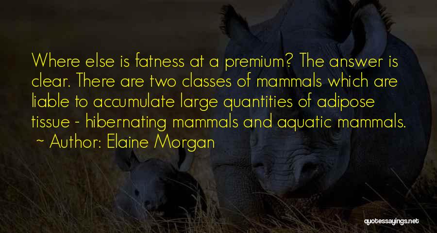 Quantities Quotes By Elaine Morgan