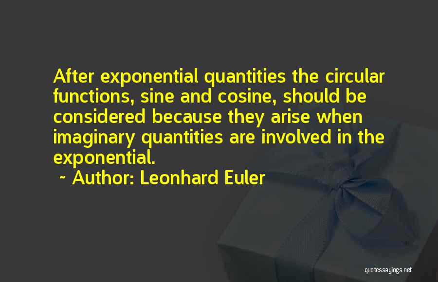 Quantities Quotes By Leonhard Euler