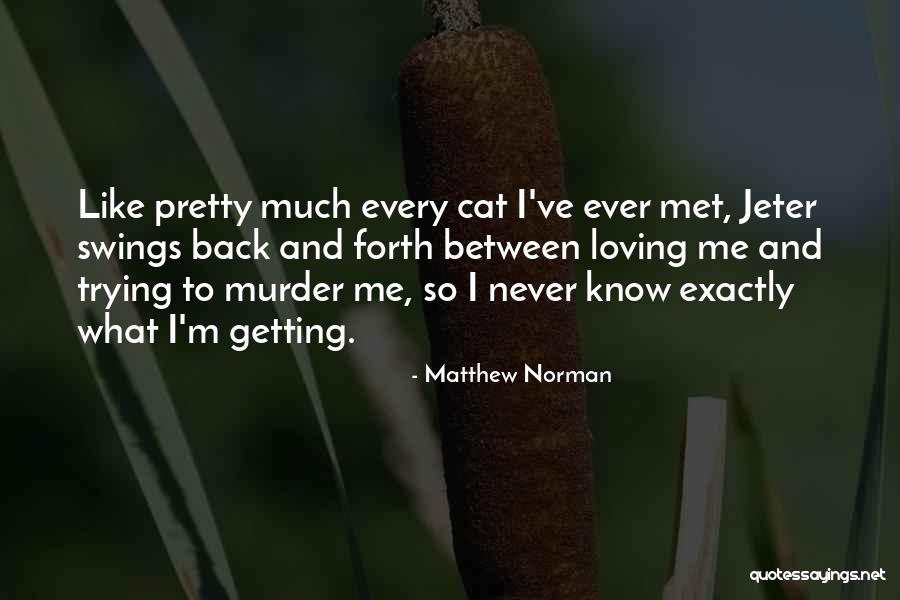 Quantum Attention Functions Quotes By Matthew Norman Quantum Attention Functions Quotes By Matthew Norman
