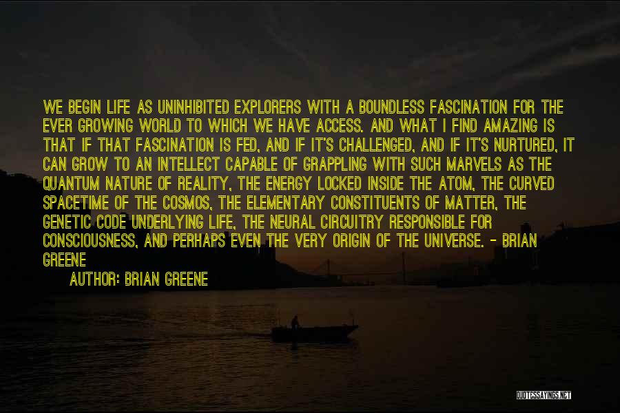 Quantum Consciousness Quotes By Brian Greene