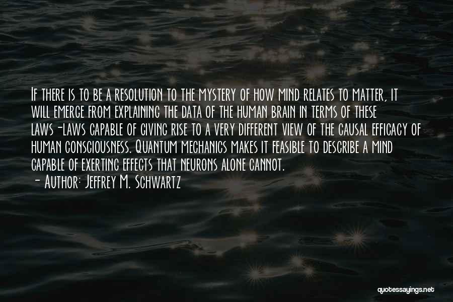 Quantum Consciousness Quotes By Jeffrey M. Schwartz