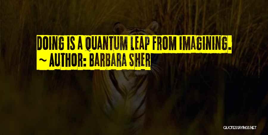 Quantum Leap Quotes By Barbara Sher