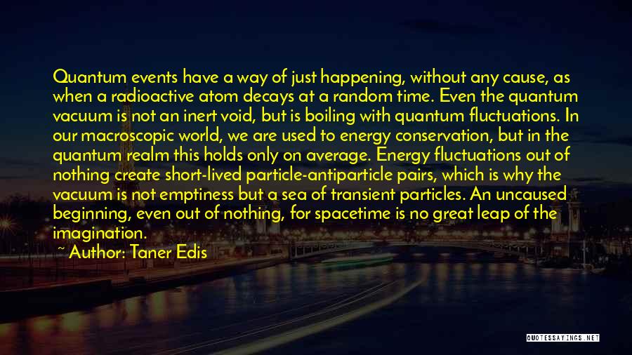 Quantum Leap Quotes By Taner Edis