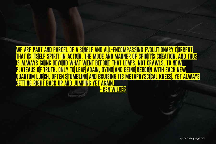 Quantum Leaps Quotes By Ken Wilber Quantum Leaps Quotes By Ken Wilber