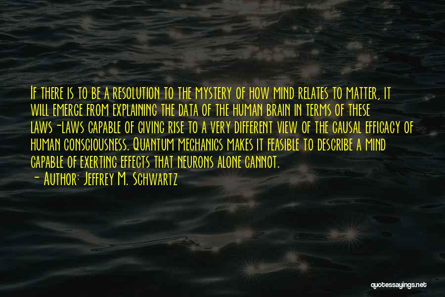 Quantum Mechanics Quotes By Jeffrey M. Schwartz