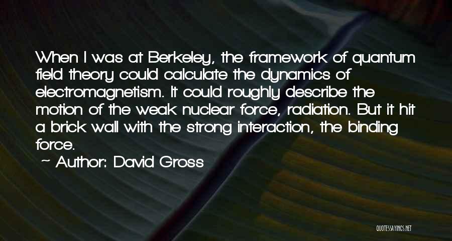Quantum Theory Quotes By David Gross