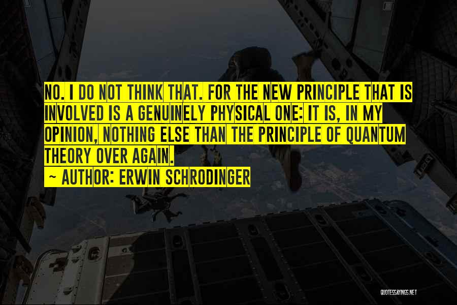 Quantum Theory Quotes By Erwin Schrodinger