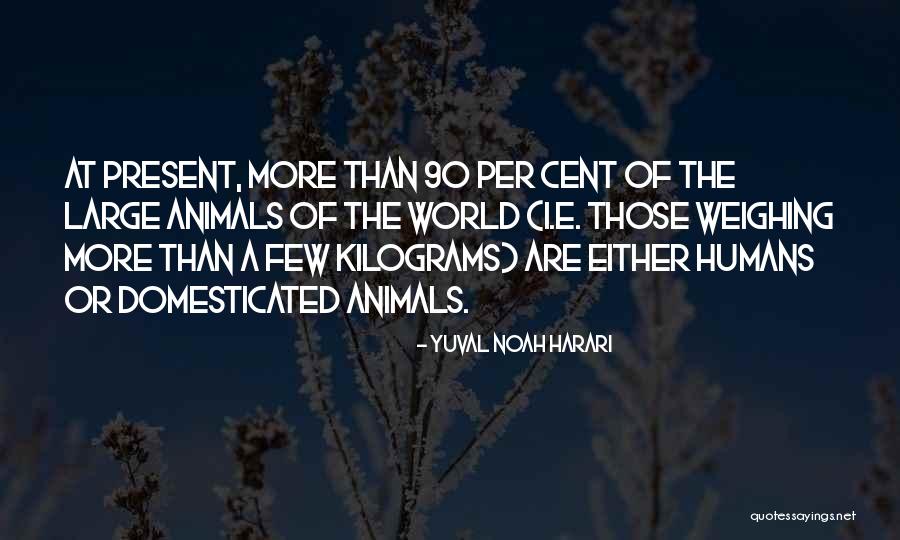 Quarantine Memes About Husbands Quotes By Yuval Noah Harari Quarantine Memes About Husbands Quotes By Yuval Noah Harari
