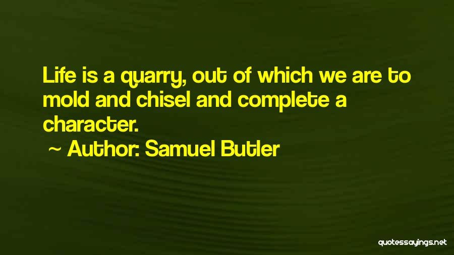 Quarry Quotes By Samuel Butler