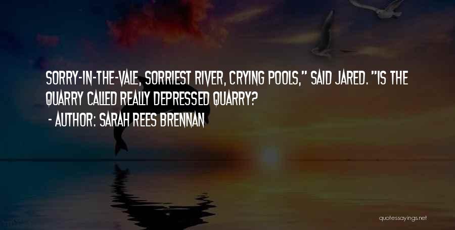 Quarry Quotes By Sarah Rees Brennan