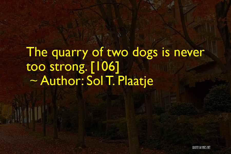 Quarry Quotes By Sol T. Plaatje