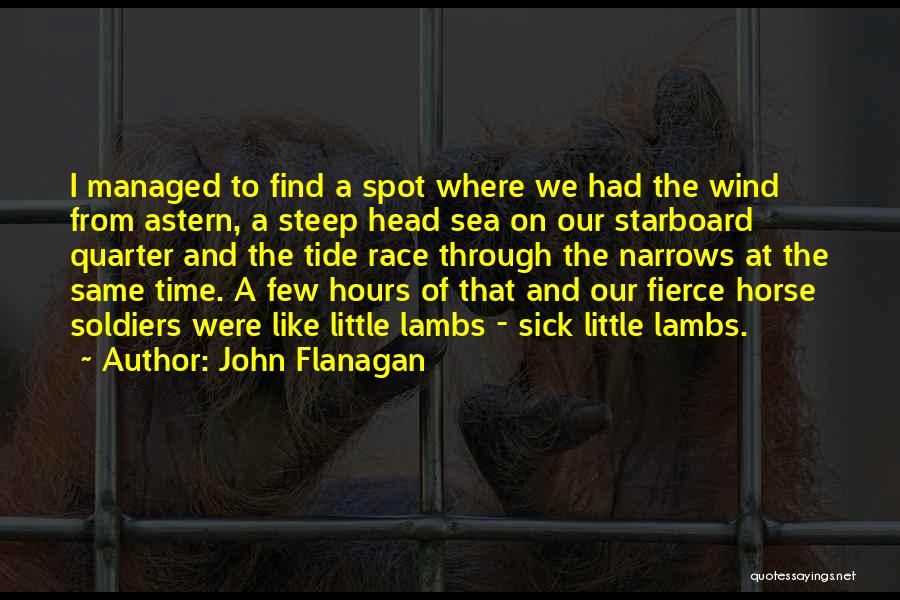 Quarter Horse Quotes By John Flanagan