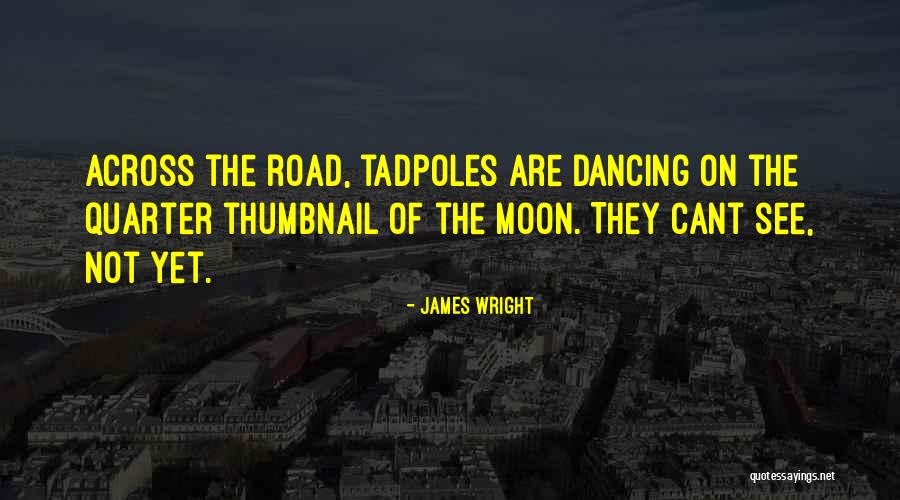 Quarter Moon Quotes By James Wright