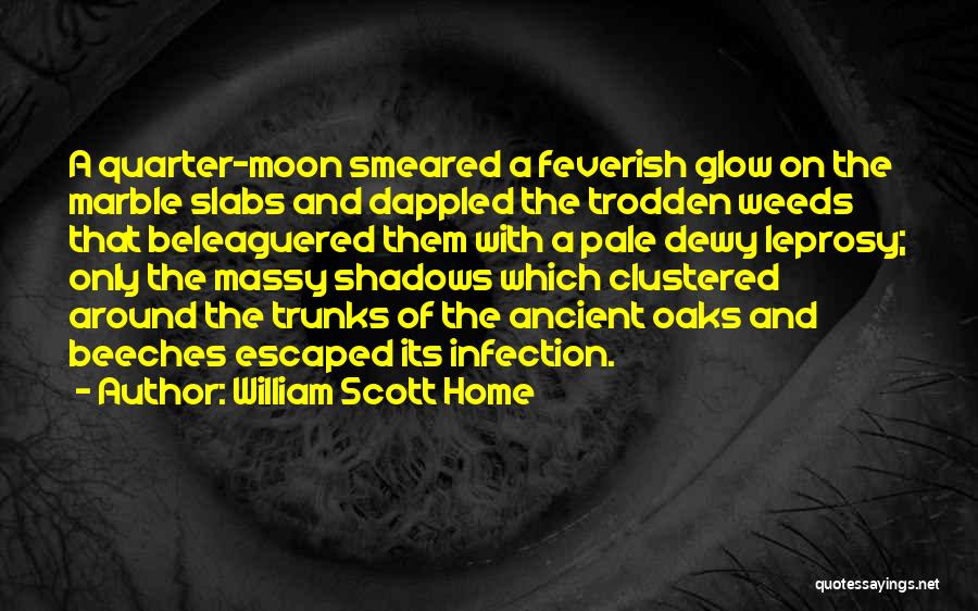 Quarter Moon Quotes By William Scott Home