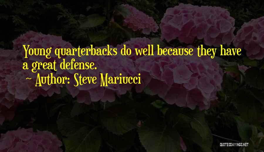 Quarterbacks Quotes By Steve Mariucci