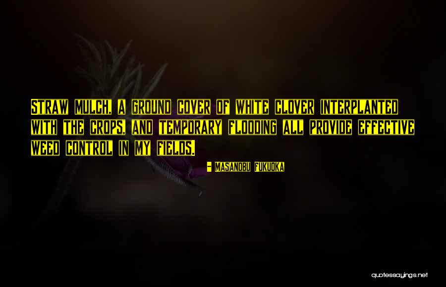 Quarterstaff Quotes By Masanobu Fukuoka Quarterstaff Quotes By Masanobu Fukuoka