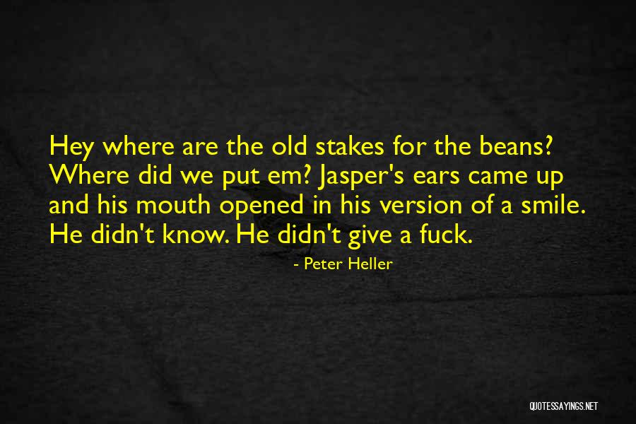 Quashing Petition Quotes By Peter Heller Quashing Petition Quotes By Peter Heller