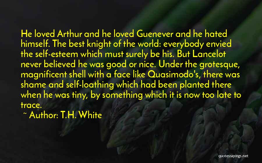 Quasimodo Quotes By T.H. White