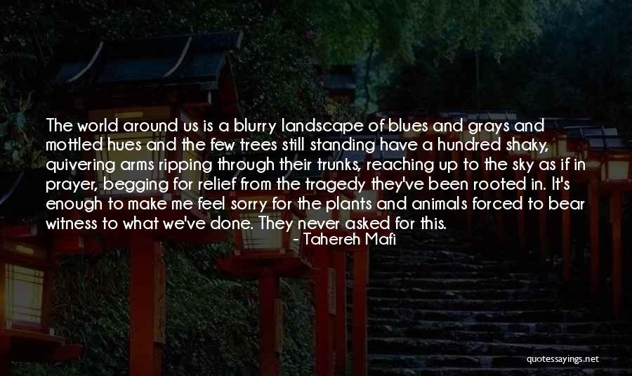Quayes Quotes By Tahereh Mafi Quayes Quotes By Tahereh Mafi
