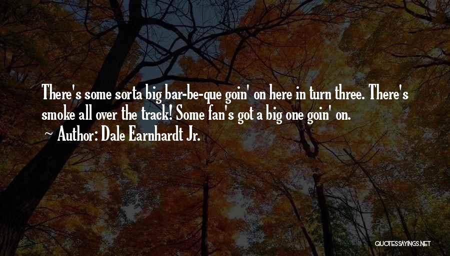 Que Quotes By Dale Earnhardt Jr.