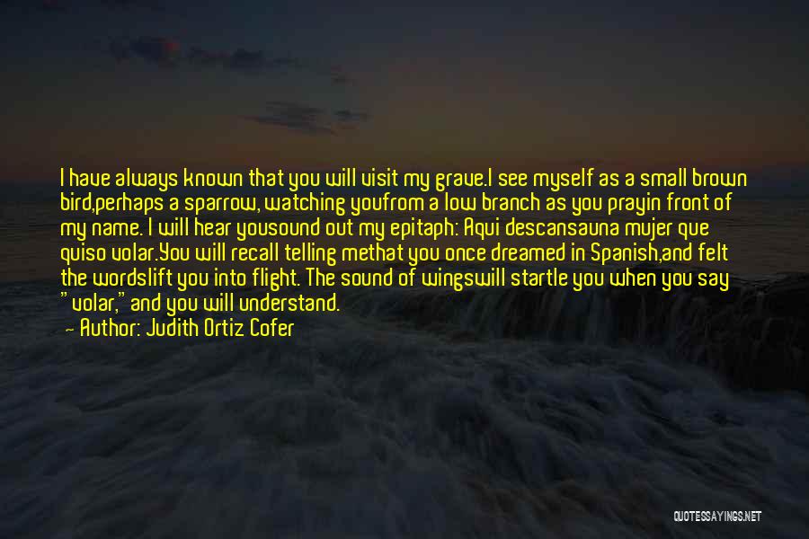 Que Quotes By Judith Ortiz Cofer