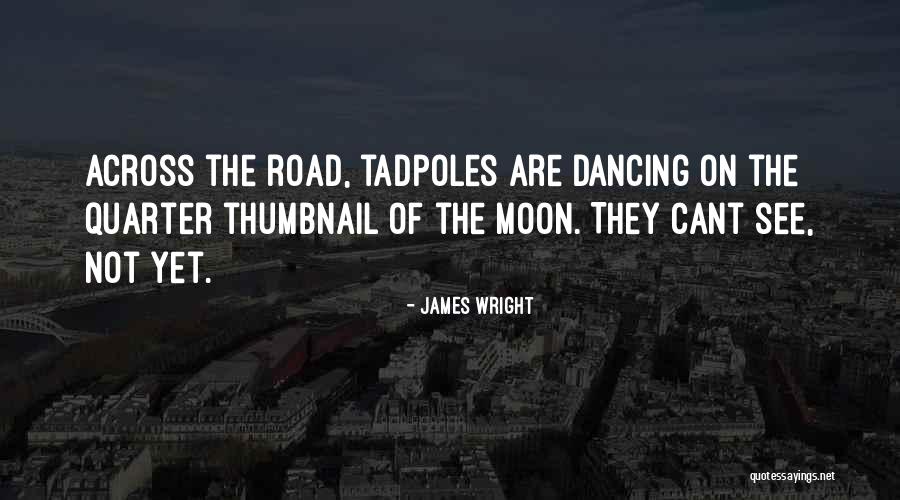 Quebra Gelo Quotes By James Wright Quebra Gelo Quotes By James Wright