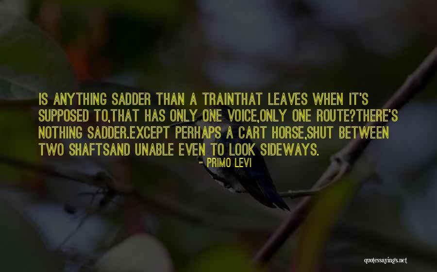 Queen Elizabeth Corgi Quotes By Primo Levi Queen Elizabeth Corgi Quotes By Primo Levi