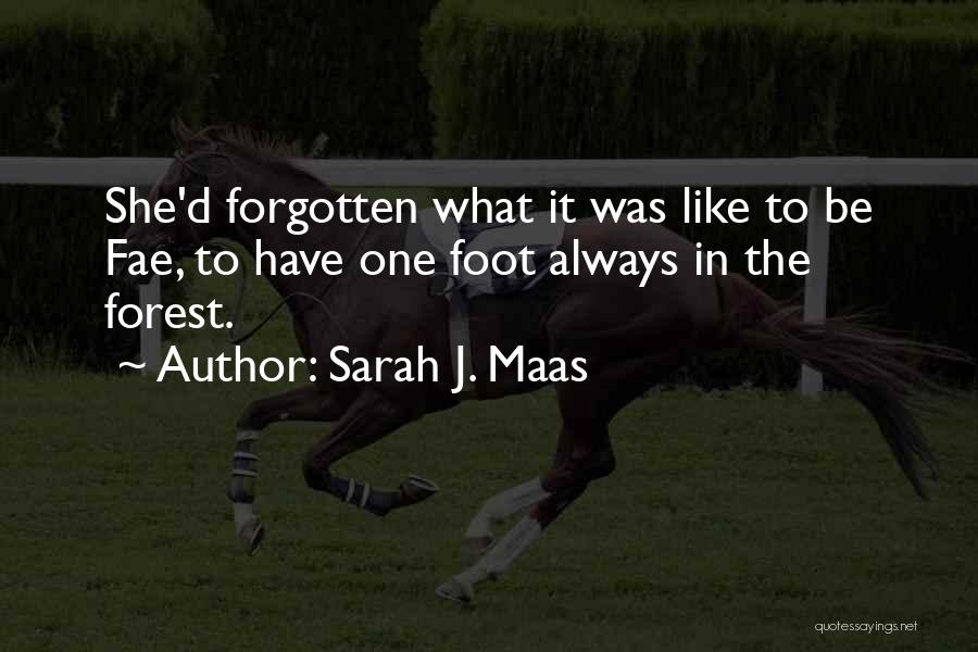 Queen Of Shadows Sarah J Maas Quotes By Sarah J. Maas