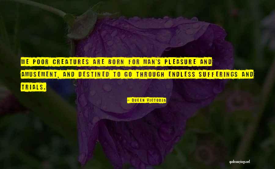 Queen Victoria Quotes 144780 Queen Victoria Quotes 144780