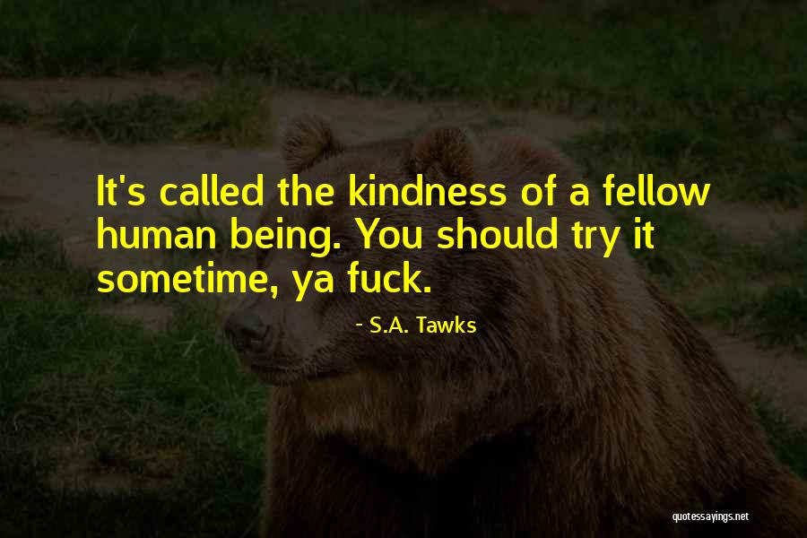 Queensland Quotes By S.A. Tawks