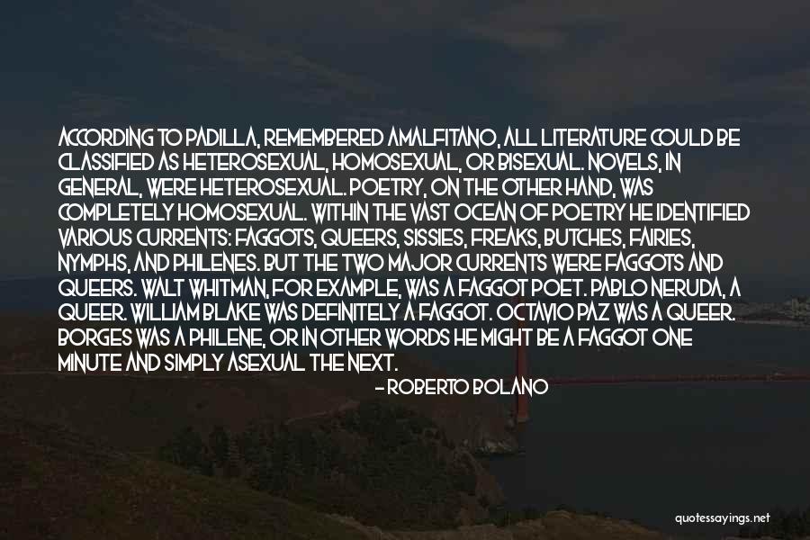 Queer Poet Quotes By Roberto Bolano Queer Poet Quotes By Roberto Bolano
