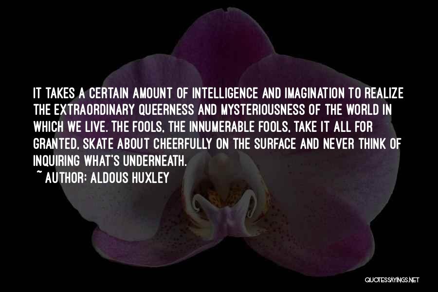 Queerness Quotes By Aldous Huxley