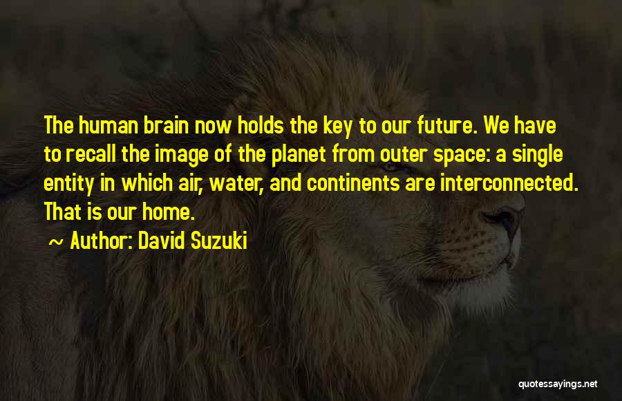 Queijeiro Quotes By David Suzuki