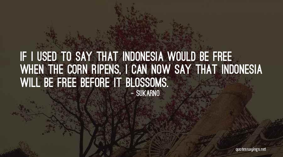 Quelin Rodriguez Quotes By Sukarno Quelin Rodriguez Quotes By Sukarno