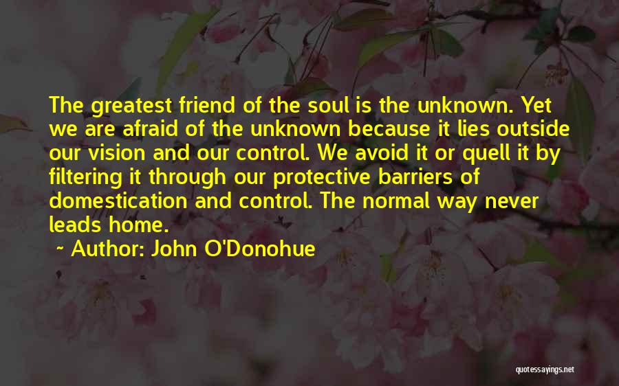 Quell Quotes By John O'Donohue