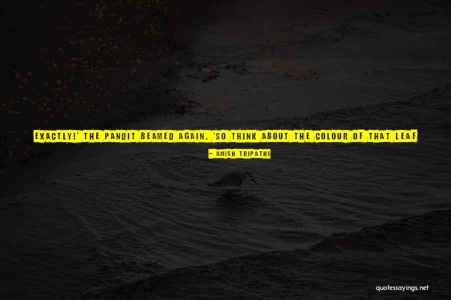 Queluz Concelho Quotes By Amish Tripathi Queluz Concelho Quotes By Amish Tripathi