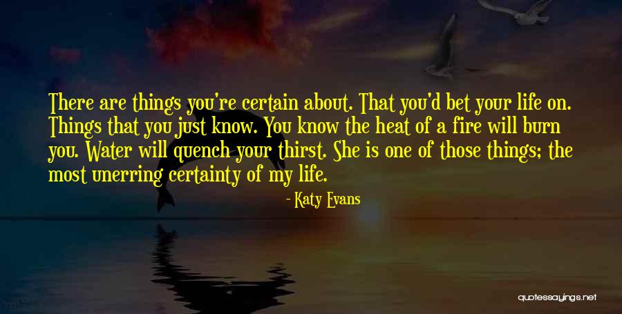 Quench My Thirst Quotes By Katy Evans