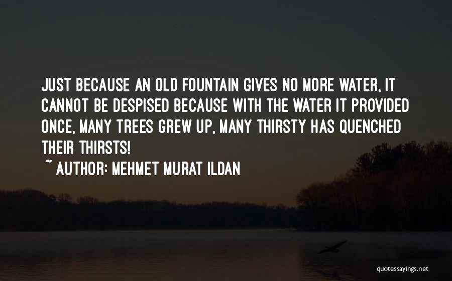 Quenched Quotes By Mehmet Murat Ildan